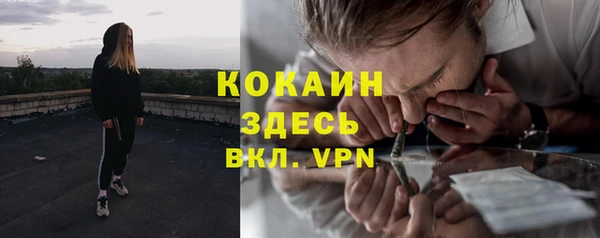 дживик Дмитров