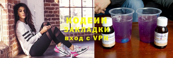 соль ск Дмитриев